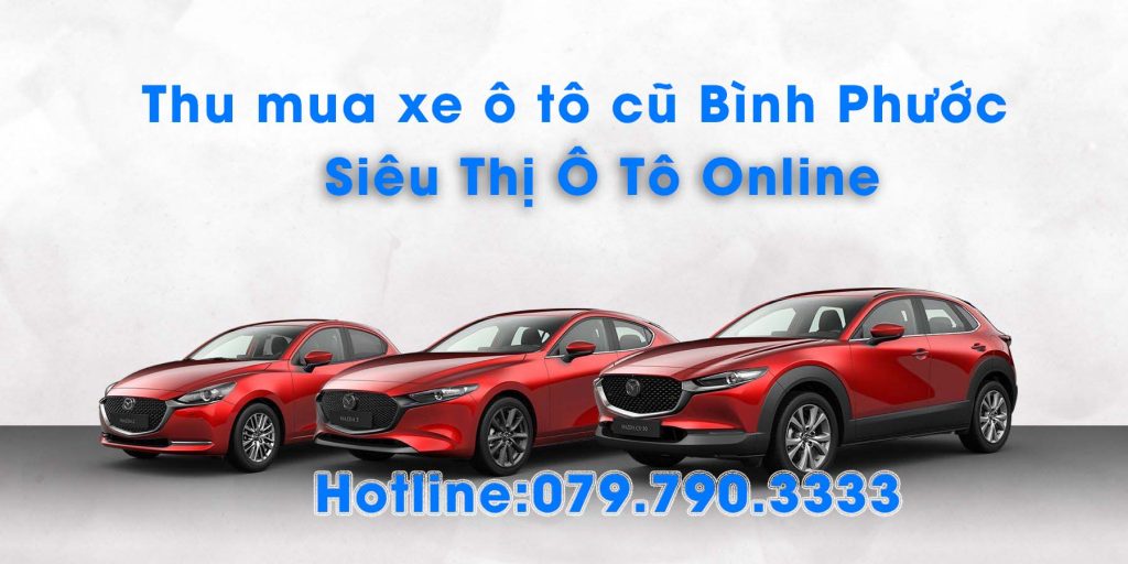 Mua bán ô tô cũ và mới ở Bình Định uy tín giá tốt 032023  Bonbanhcom