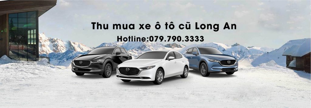 Thu mua xe ô tô cũ long an