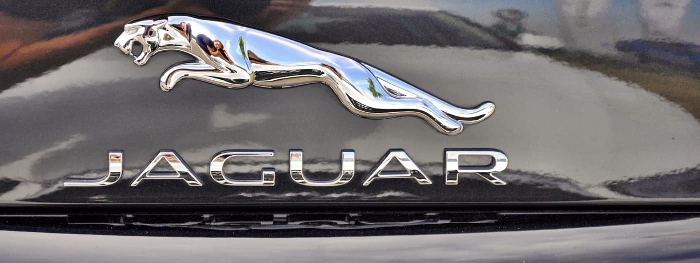 Logo Jaguar có hình báo đốm Nam Mỹ